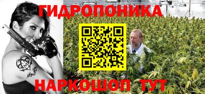 прущие крисы Моздок