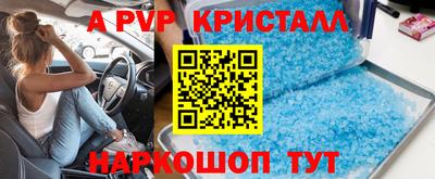 прущие грибы Можайск